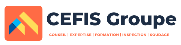 CEFIS Groupe website logo
